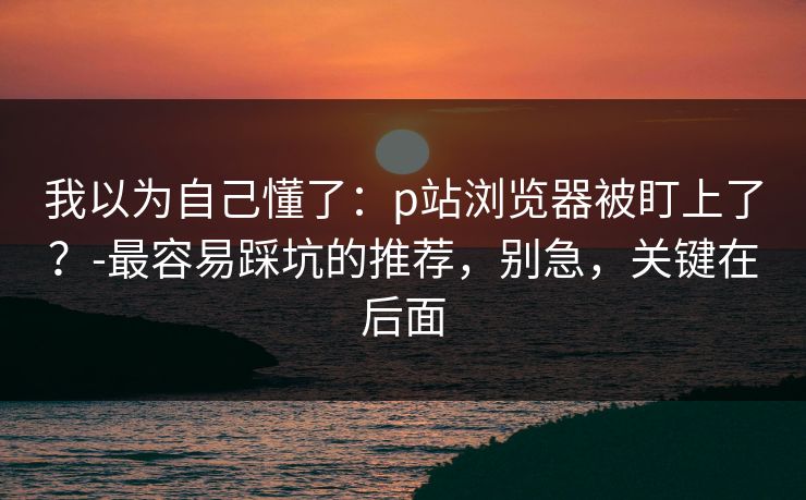 我以为自己懂了：p站浏览器被盯上了？-最容易踩坑的推荐，别急，关键在后面