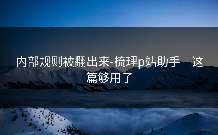 内部规则被翻出来-梳理p站助手｜这篇够用了