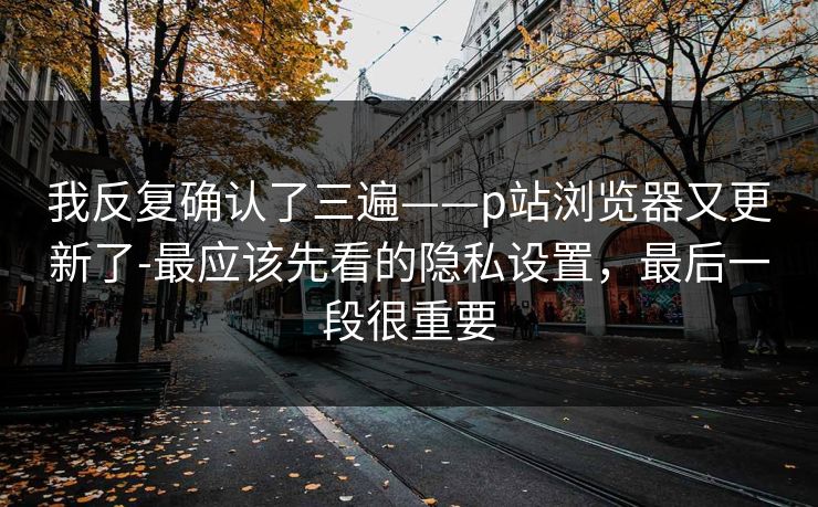 我反复确认了三遍——p站浏览器又更新了-最应该先看的隐私设置,最后一段很重要 我反复确认了三遍——p站浏览器又更新了-最应该先看的隐私设置,最后一段很重要