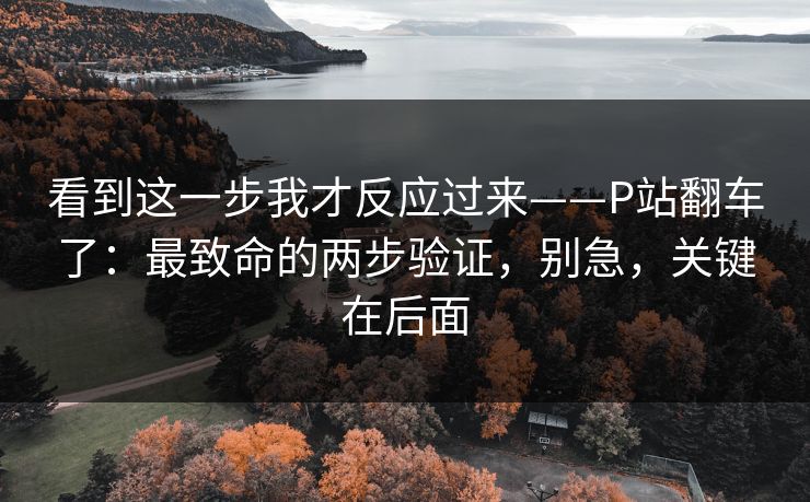 看到这一步我才反应过来——P站翻车了：最致命的两步验证，别急，关键在后面