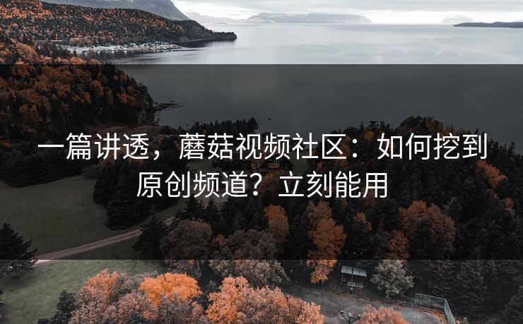 一篇讲透，蘑菇视频社区：如何挖到原创频道？立刻能用