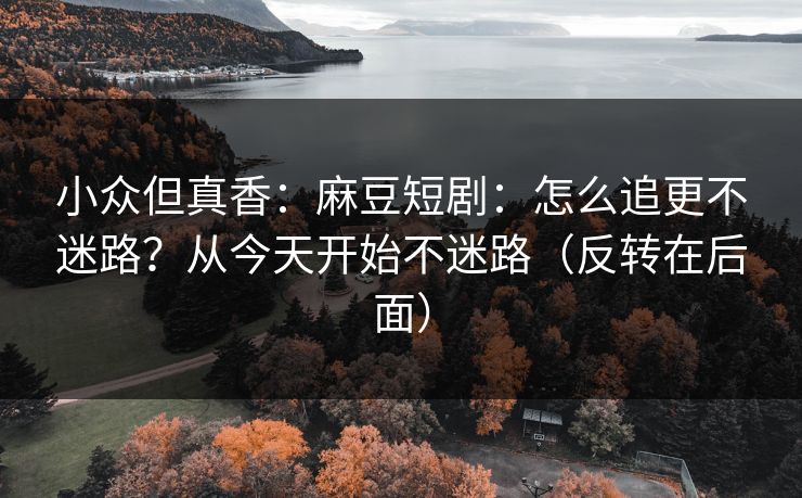 小众但真香：麻豆短剧：怎么追更不迷路？从今天开始不迷路（反转在后面）