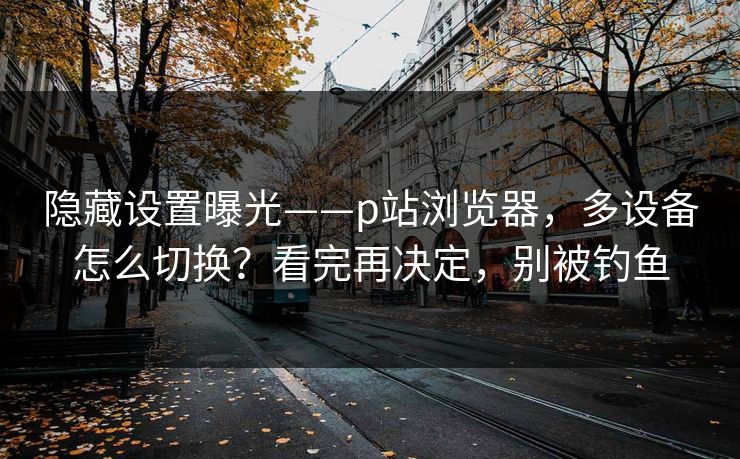 隐藏设置曝光——p站浏览器，多设备怎么切换？看完再决定，别被钓鱼
