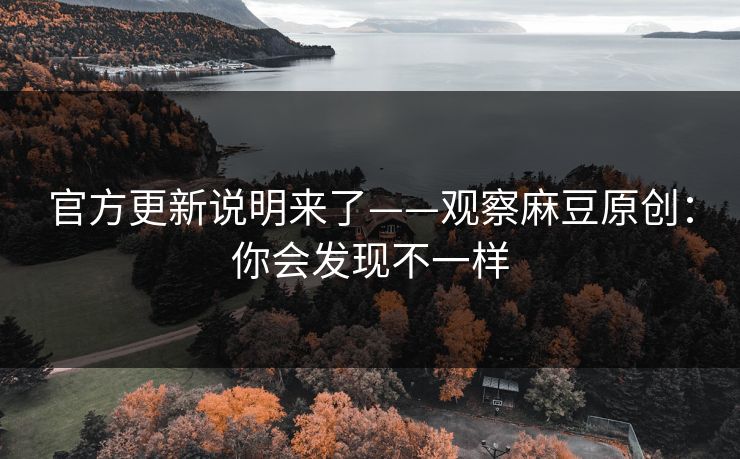 官方更新说明来了——观察麻豆原创：你会发现不一样