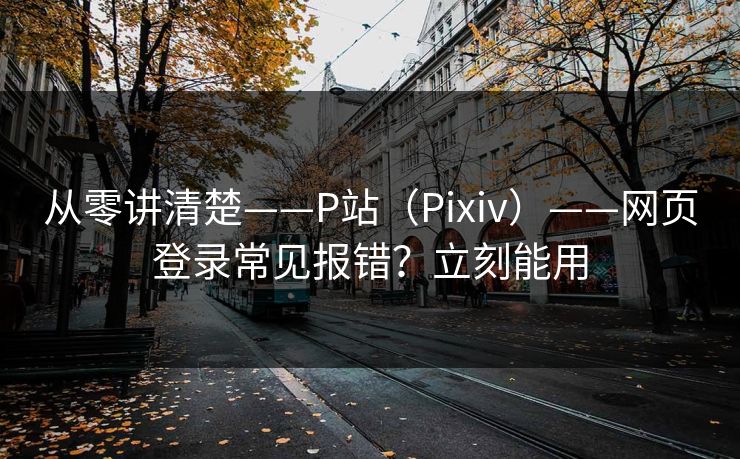 从零讲清楚——P站（Pixiv）——网页登录常见报错？立刻能用
