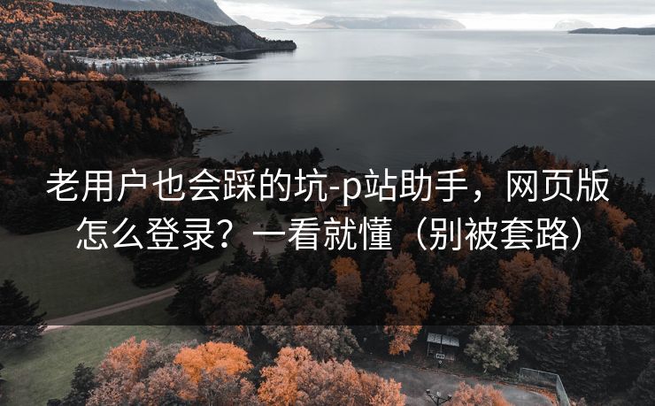 老用户也会踩的坑-p站助手，网页版怎么登录？一看就懂（别被套路）