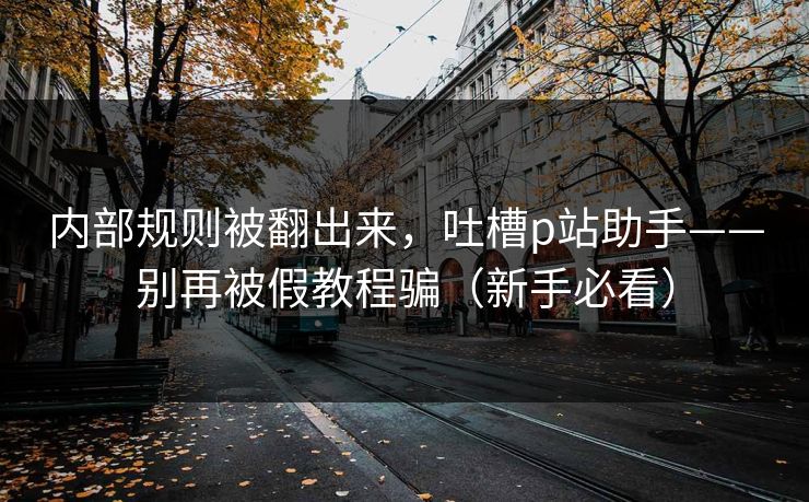 内部规则被翻出来，吐槽p站助手——别再被假教程骗（新手必看）