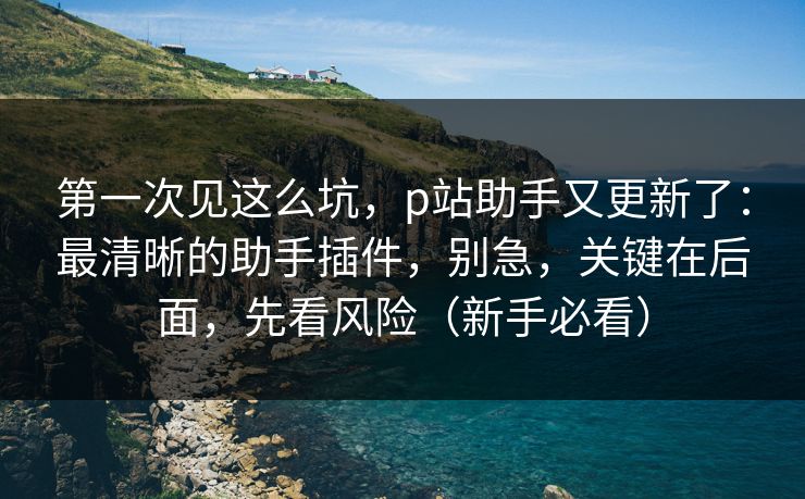 第一次见这么坑，p站助手又更新了：最清晰的助手插件，别急，关键在后面，先看风险（新手必看）
