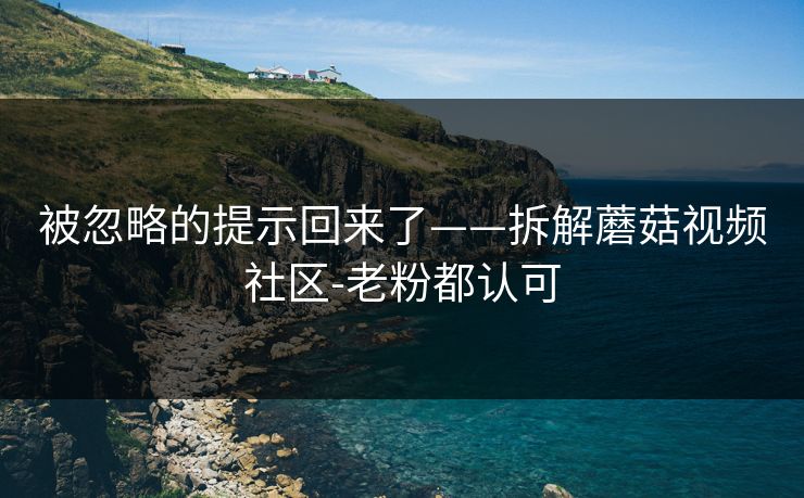 被忽略的提示回来了——拆解蘑菇视频社区-老粉都认可
