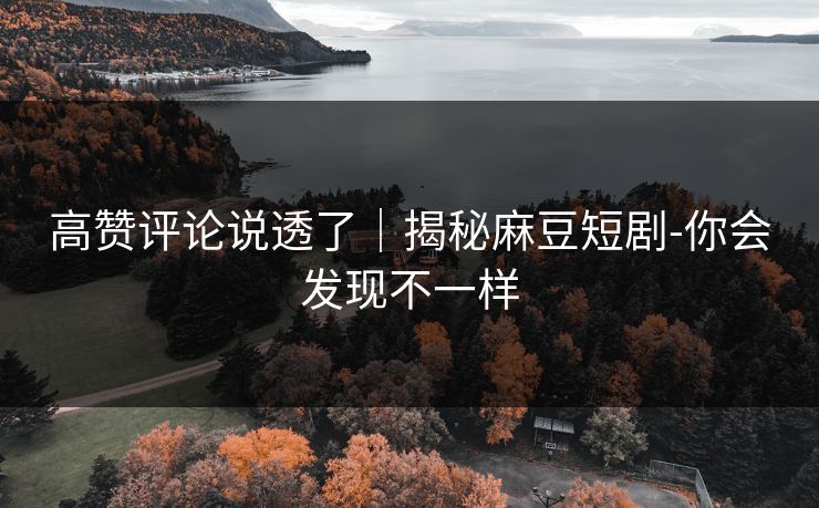 高赞评论说透了｜揭秘麻豆短剧-你会发现不一样