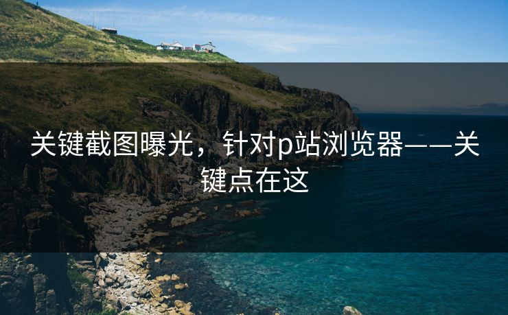 关键截图曝光，针对p站浏览器——关键点在这
